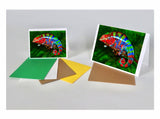 Chameleon Cards: Kammerflage’s Grimbold